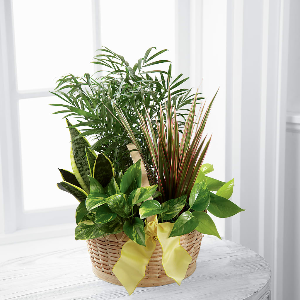 French Garden – Flowersforyou.com, Tontitown AR