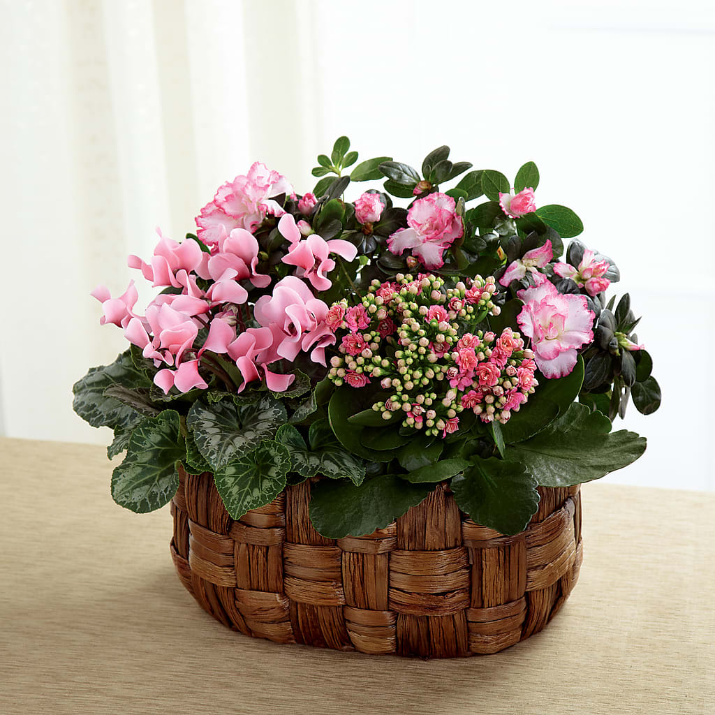 Pink Assortment – Flowersforyou.com, Tontitown AR