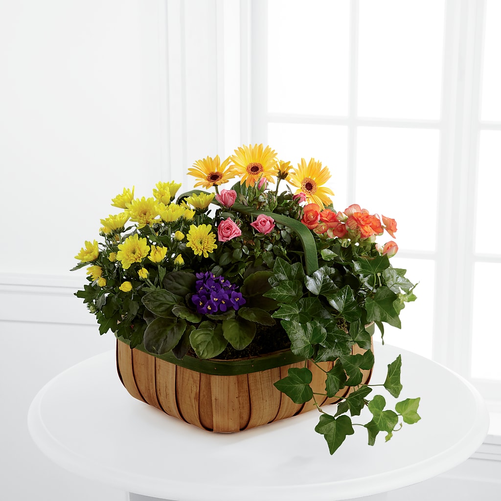 Gentle Blossoms Basket – Flowersforyou.com, Tontitown AR