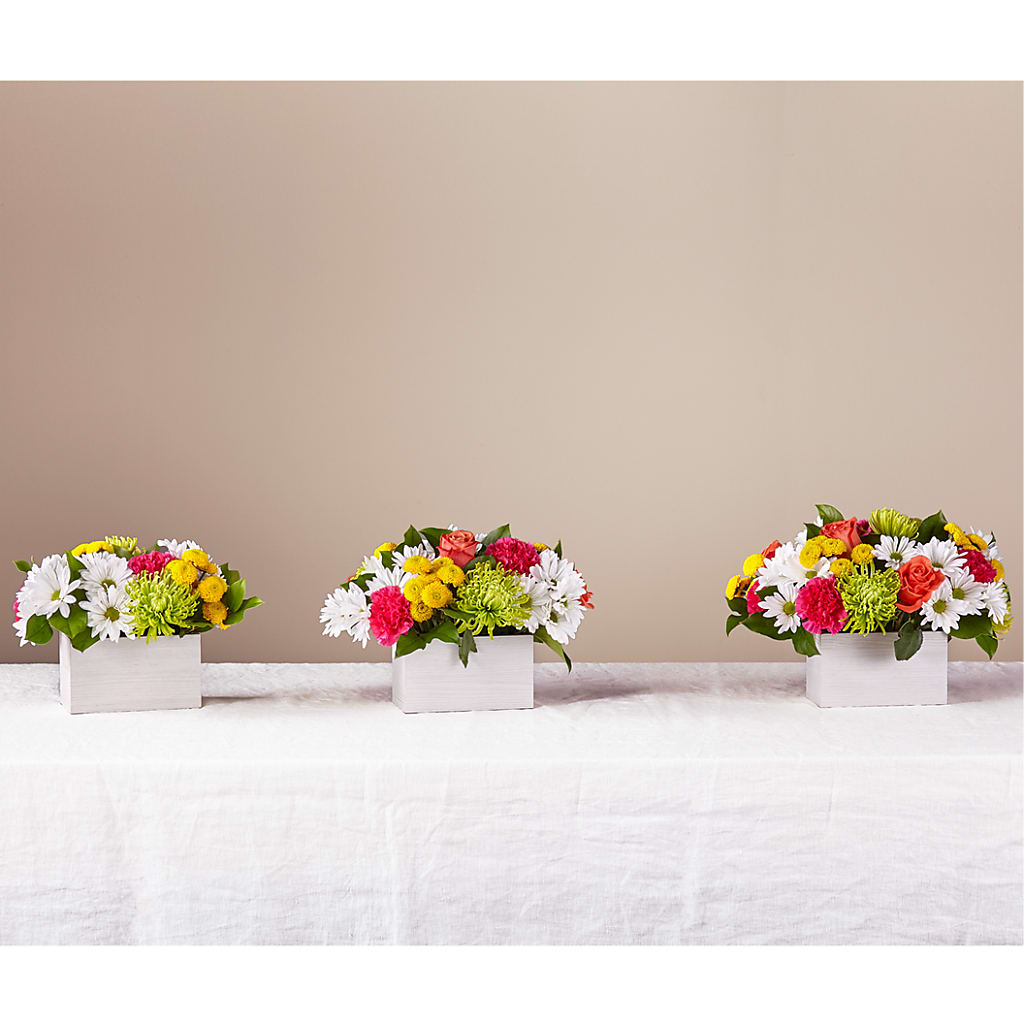 Sorbet Bouquet – Flowersforyou.com, Tontitown AR