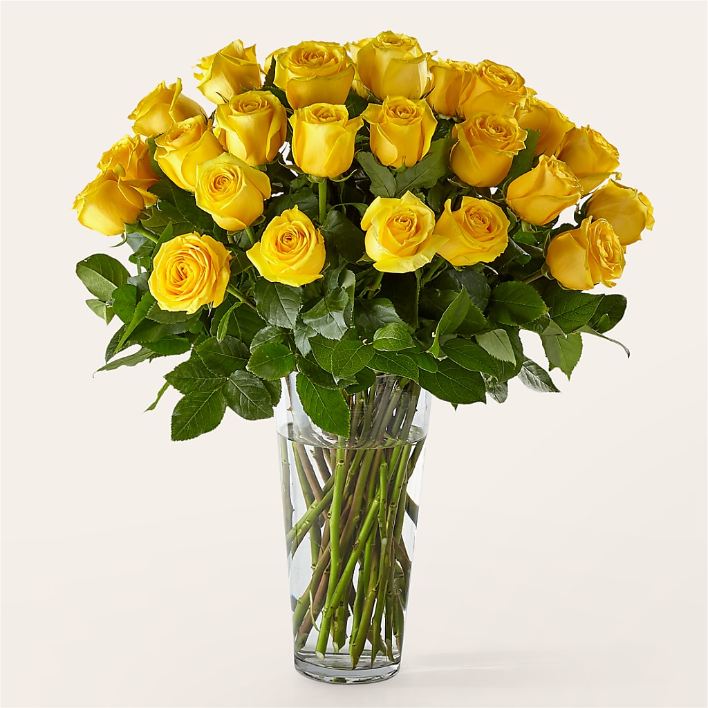 Long Stem Yellow Rose Bouquet – Flowersforyou.com, Tontitown AR