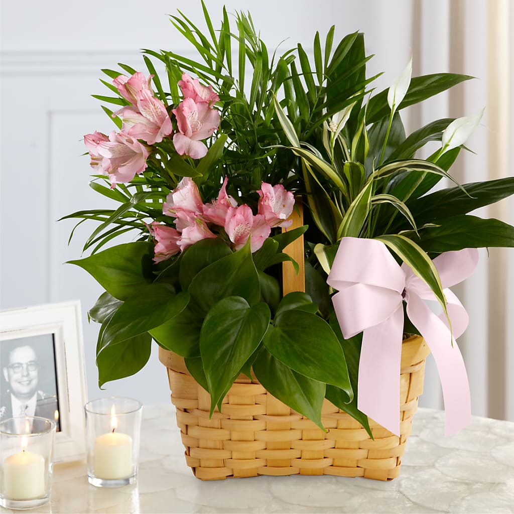 Living Spirit Dishgarden – Flowersforyou.com, Tontitown AR