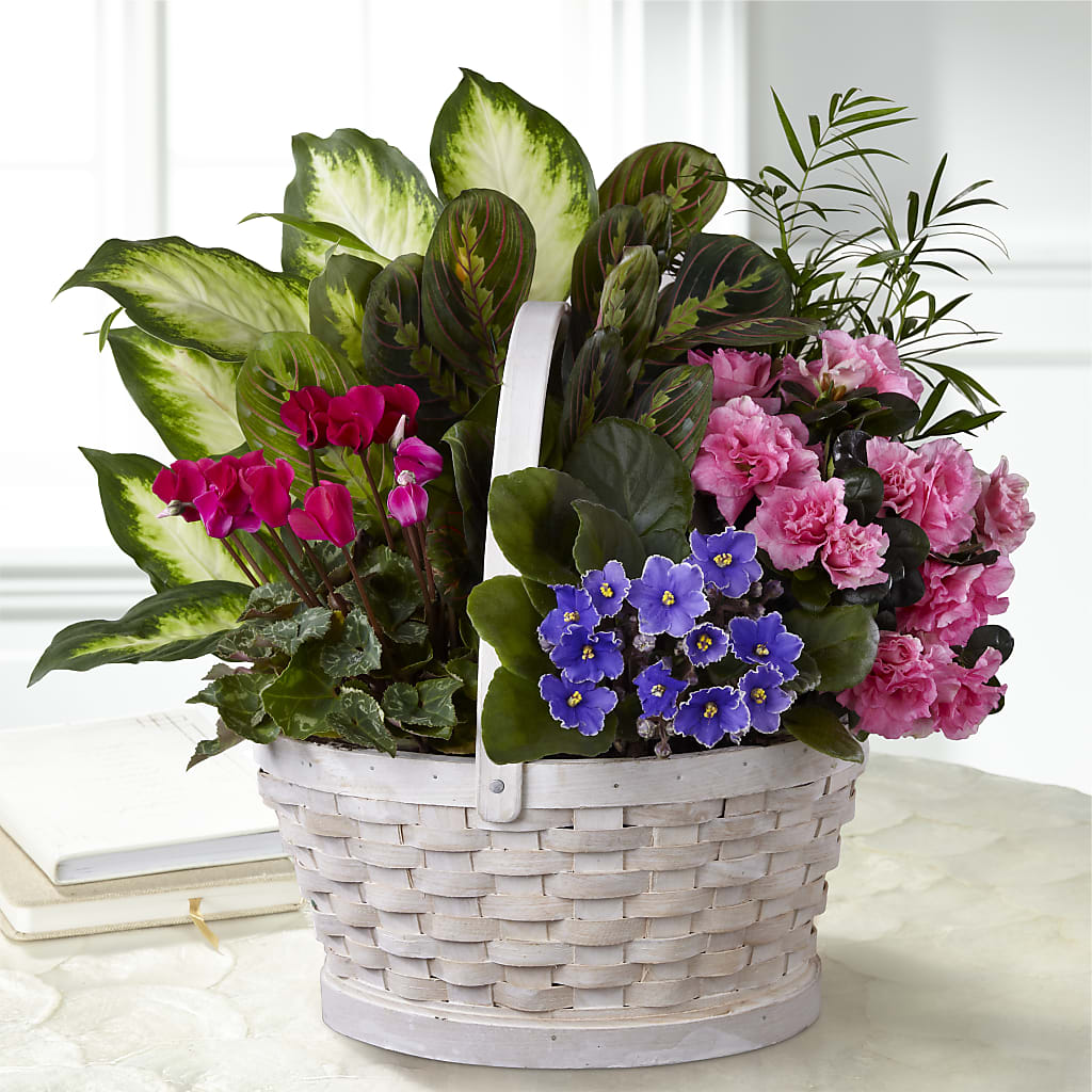 Peaceful Garden Planter – Flowersforyou.com, Tontitown AR