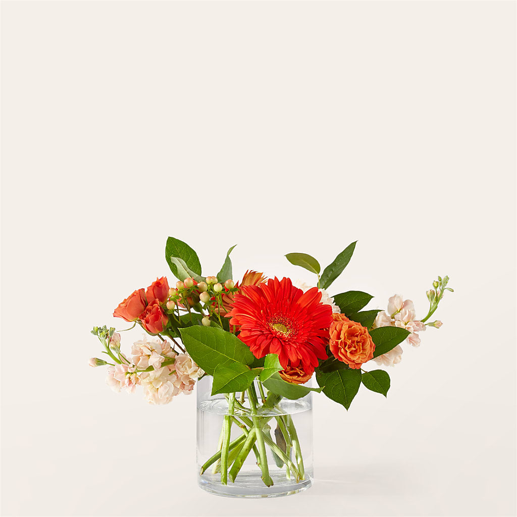 Paloma Please Bouquet – Flowersforyou.com, Tontitown AR