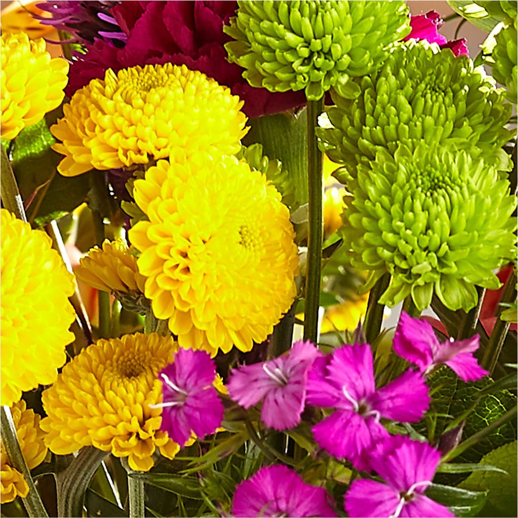 Bold & Bright – A Florist Original –  Flowersforyou.com, Tontitown AR