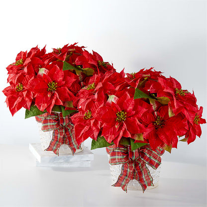 Happiest Holidays Poinsettia Bundle –  Flowersforyou.com, Tontitown AR
