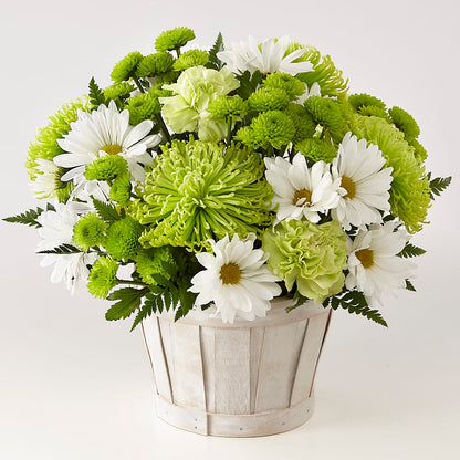 Lucky Charm Basket (Standard) –  Flowersforyou.com, Tontitown AR