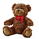Adorable Plush Bear –  Flowersforyou.com, Tontitown AR