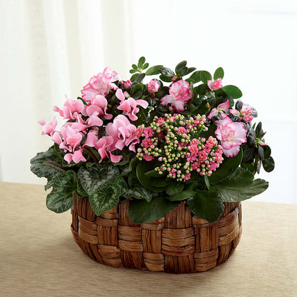 Pink Assortment –  Flowersforyou.com, Tontitown AR