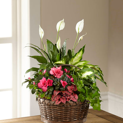 Dream in Pink Dishgarden –  Flowersforyou.com, Tontitown AR