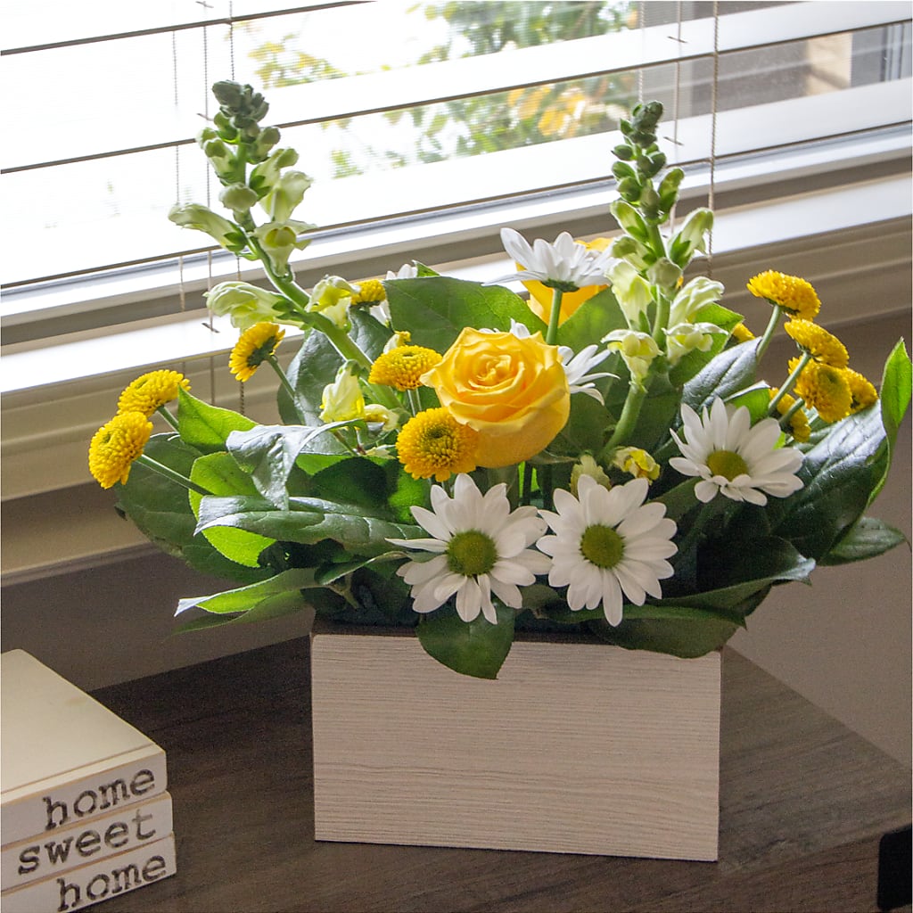 Sun Salutation Box Bouquet –  Flowersforyou.com, Tontitown AR