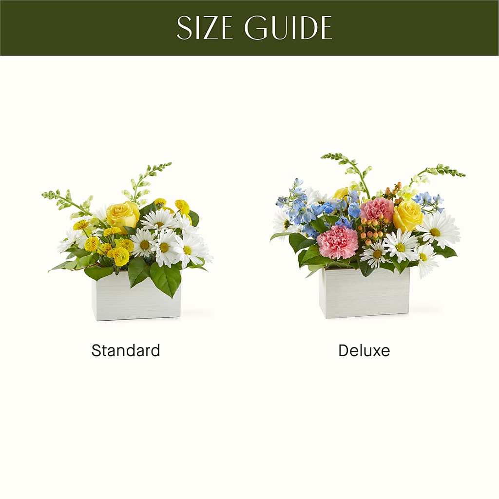 Sun Salutation Box Bouquet –  Flowersforyou.com, Tontitown AR