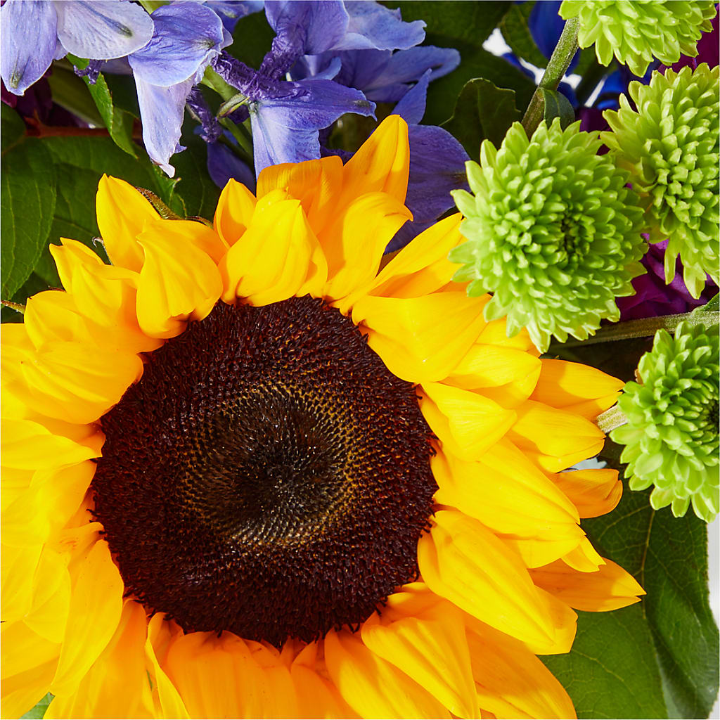 Catching Rays Bouquet –  Flowersforyou.com, Tontitown AR