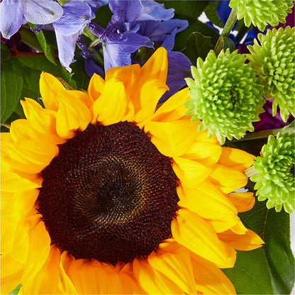 Catching Rays Bouquet –  Flowersforyou.com, Tontitown AR