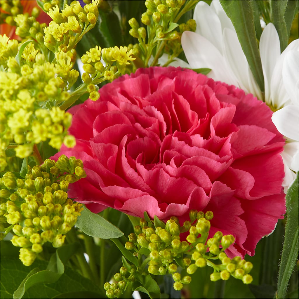 Oopsie Daisy Bouquet –  Flowersforyou.com, Tontitown AR
