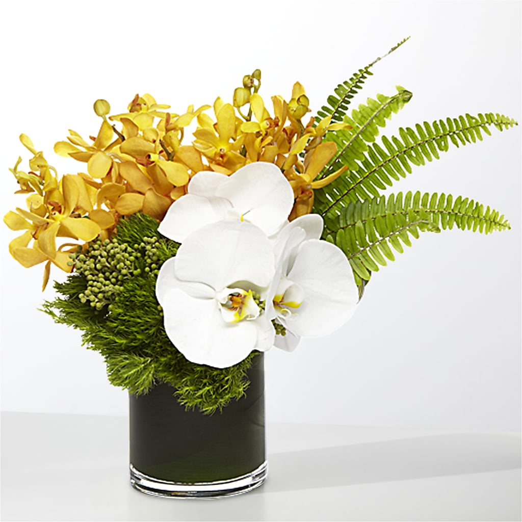 The Tropics –  Flowersforyou.com, Tontitown AR