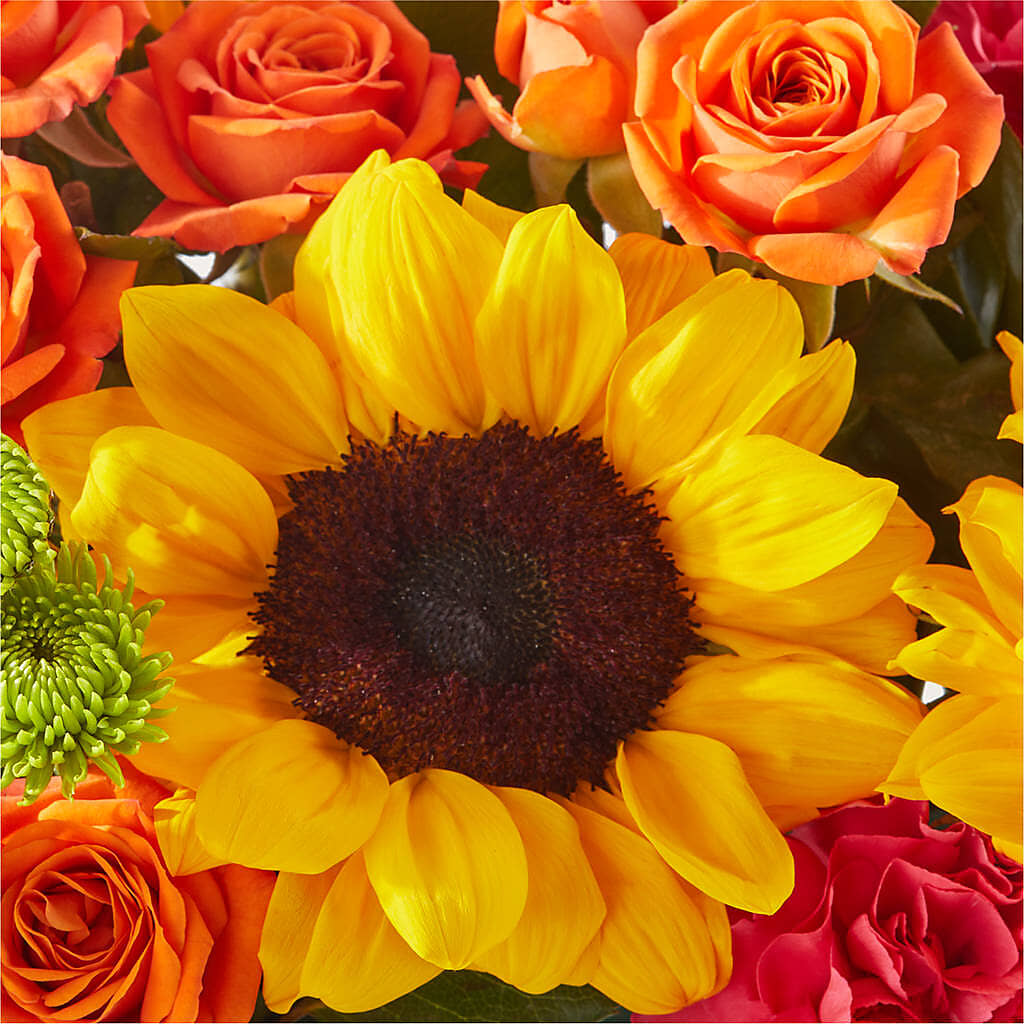 Sun-drenched Blooms Box Bouquet –  Flowersforyou.com, Tontitown AR
