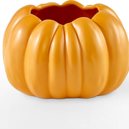 Pick of the Patch Pumpkin Bouquet –  Flowersforyou.com, Tontitown AR