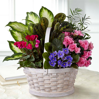 Peaceful Garden Planter –  Flowersforyou.com, Tontitown AR