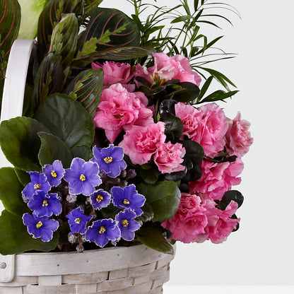 Peaceful Garden Planter –  Flowersforyou.com, Tontitown AR