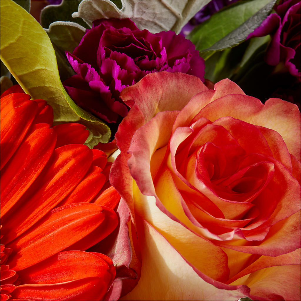 Sangria Bouquet –  Flowersforyou.com, Tontitown AR