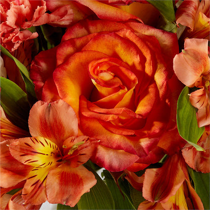 Apricot Glow Bouquet –  Flowersforyou.com, Tontitown AR