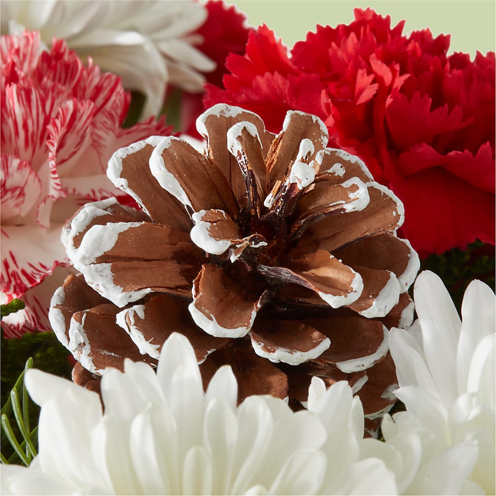 Candy Cane Lane Bouquet –  Flowersforyou.com, Tontitown AR