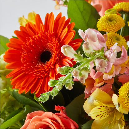 Autumn Sunshine Bouquet –  Flowersforyou.com, Tontitown AR