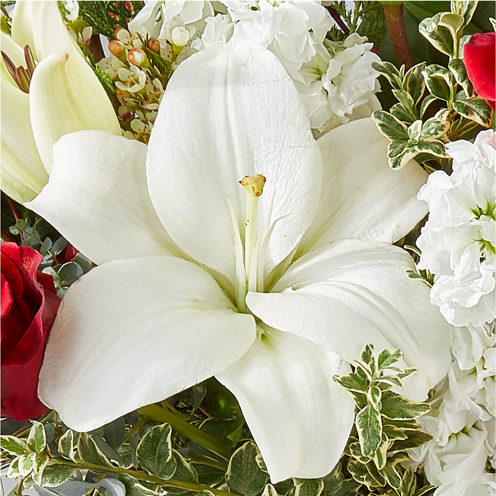 Twinkle Lights Bouquet –  Flowersforyou.com, Tontitown AR