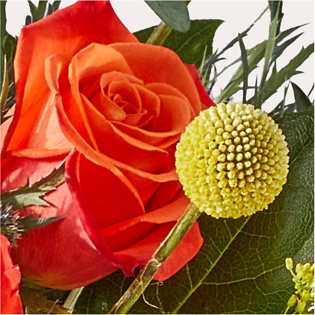 Disco Bouquet –  Flowersforyou.com, Tontitown AR