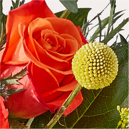 Disco Bouquet –  Flowersforyou.com, Tontitown AR