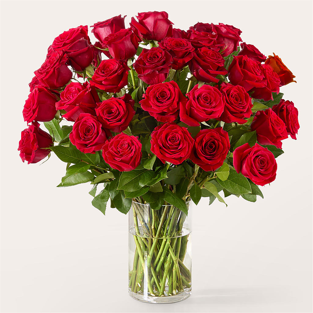 The One Red Rose Bouquet –  Flowersforyou.com, Tontitown AR