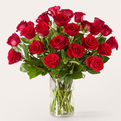 The One Red Rose Bouquet –  Flowersforyou.com, Tontitown AR