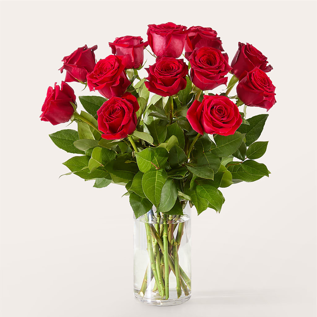 The One Red Rose Bouquet –  Flowersforyou.com, Tontitown AR