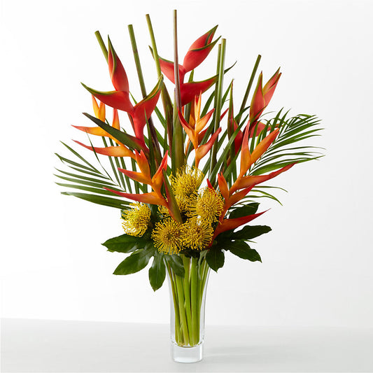 The Drama –  Flowersforyou.com, Tontitown AR