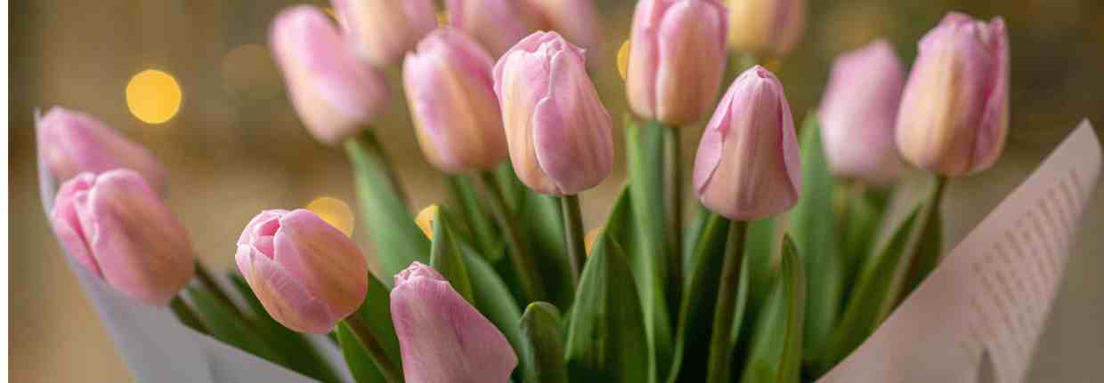 easterTulips_Image_1770929782999.jpeg