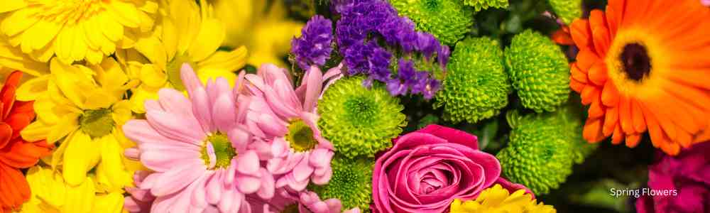 midtownFloral_Image_1770909846759.jpeg